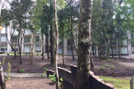 Apartamento Bello Y Acogedor Departamento En *